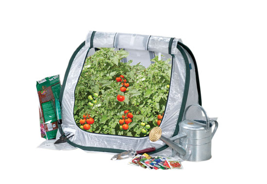 The FlowerHouse SeedHouse Jr. is a pop-up greenhouse that can fit small spaces.